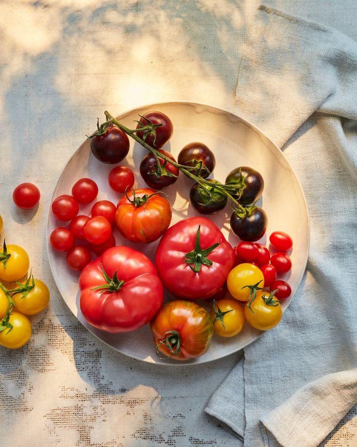 Country Orchard Gems: Seasonal Fruit Treasury